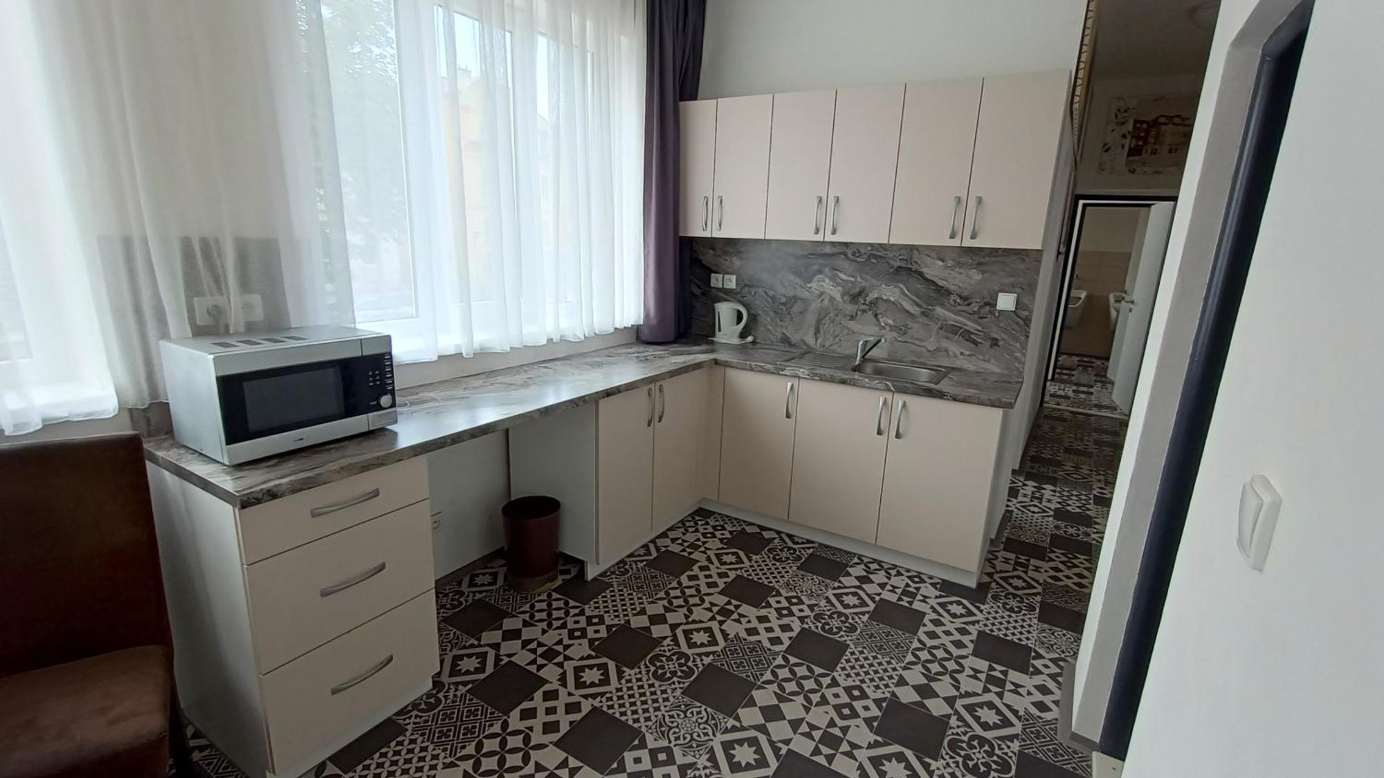 Apartments Gato Karlovy Vary Stara Role 部屋 写真